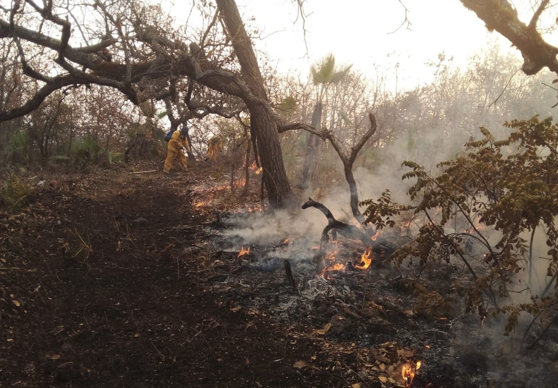 Aprueba Congreso de Guerrero exhorto a instancias de gobierno para destinar mayores recursos contra los incendios
