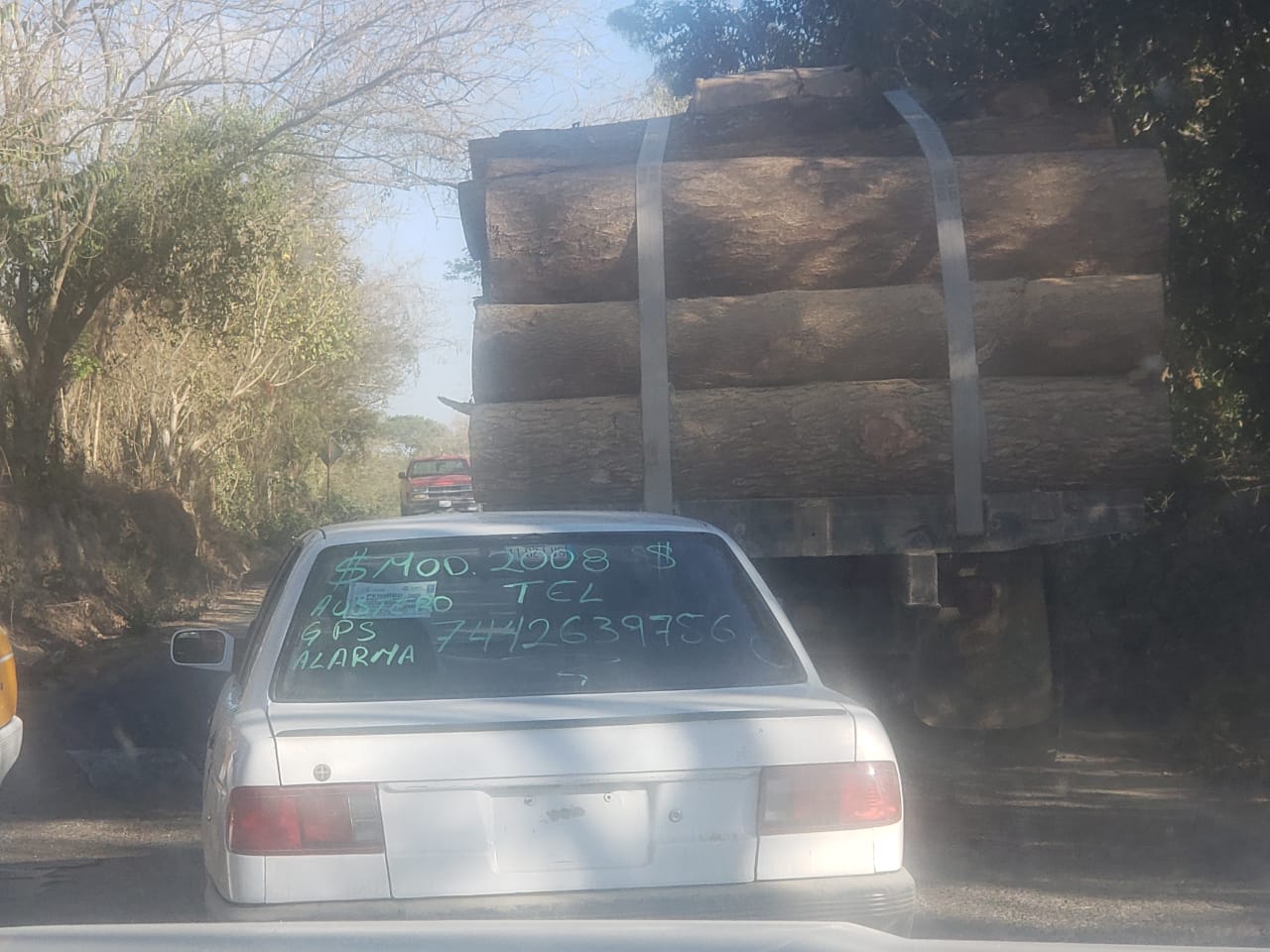 Demanda Centro Morelos protección de manera urgente a defensores de los bosques en Guerrero