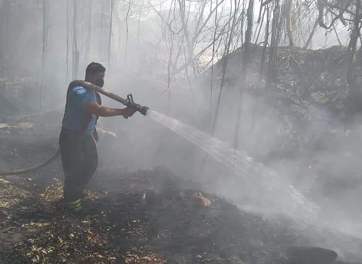 Acapulco: se han registrado más de 15 incendios forestales y de pastizales, reporta Bomberos
