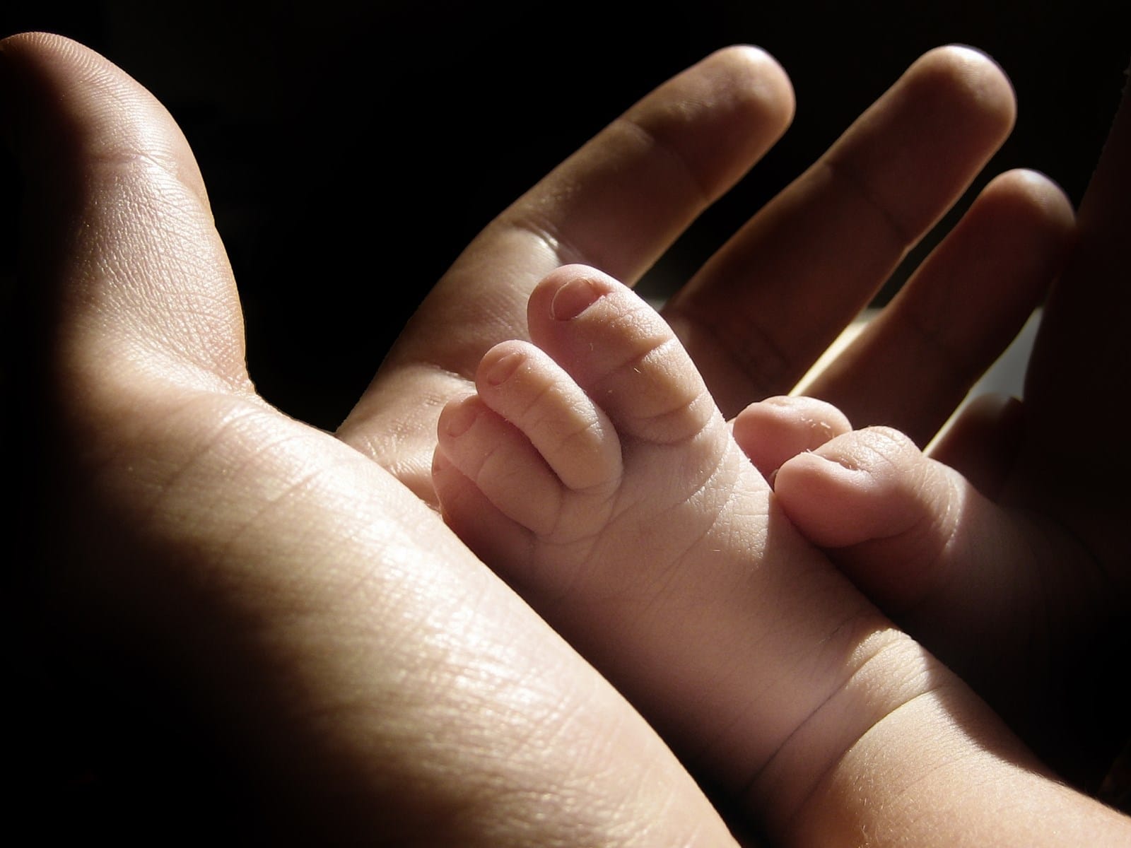 Las mujeres cada vez tienen menos hijos, de acuerdo con el Inegi