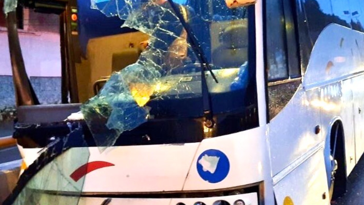 Esta es la lista de los heridos por choque de autobús en Chichihualco, Guerrero