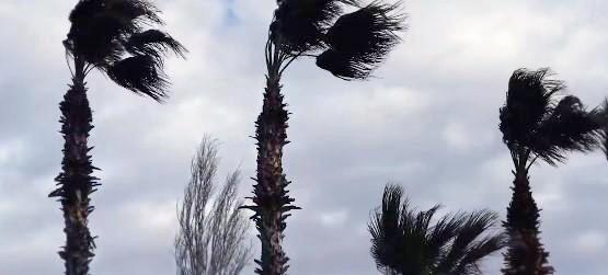 Alerta Protección Civil sobre lluvias muy fuertes en Guerrero por Onda Tropical Número 1