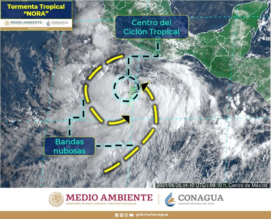 #Nora: Cae poste y árbol, los primeros daños de la tormenta en Acapulco