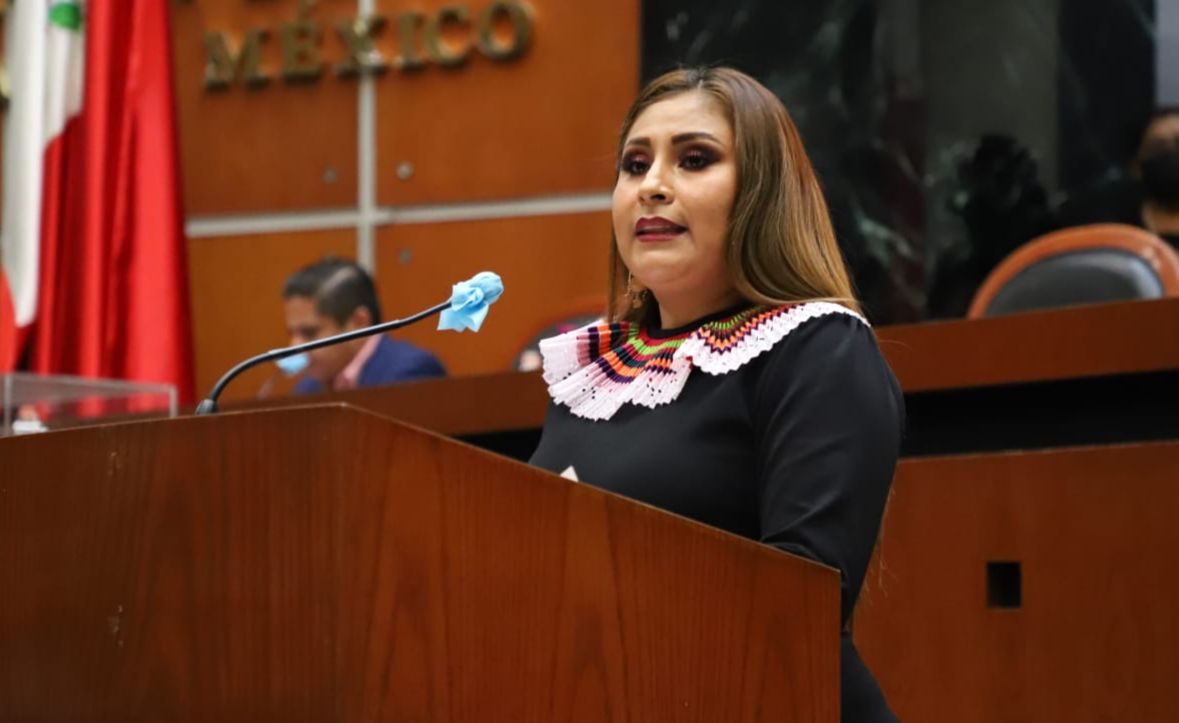 Plantean en el Congreso la creación de la agencia especializada en atención de las y los adultos mayores