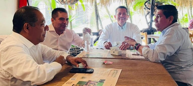 mario-moreno-prd