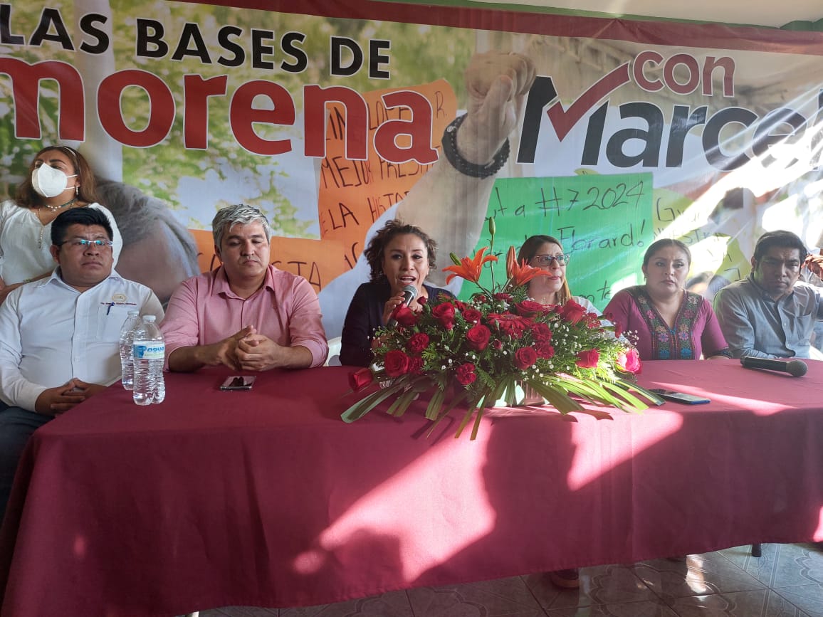 Desde Guerrero, le piden a Mario Delgado encuestas transparentes en la elección del Coordinador de Defensa de la 4T