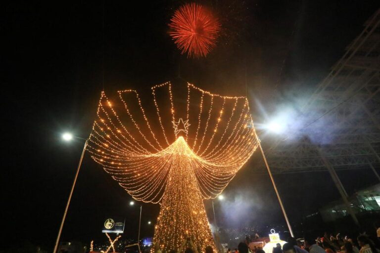 encendido arbol navidad-abelina lopez-II