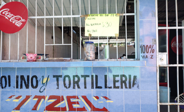Industriales de la masa y la tortilla no prevén aumento al kilo en 2023