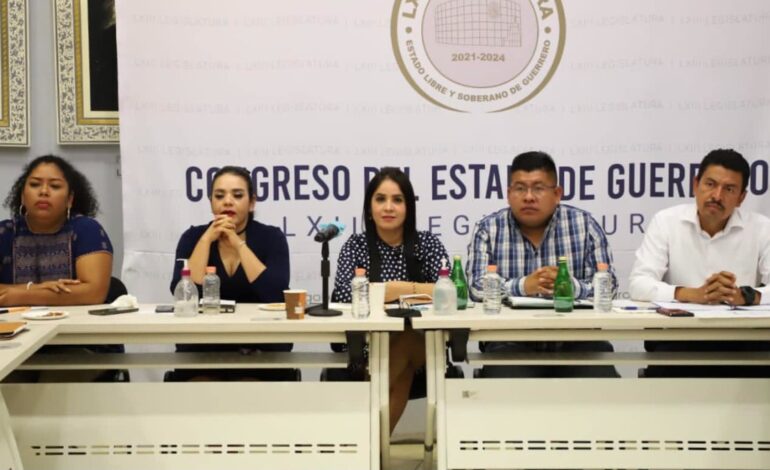 Con Yoloczin, la forma es fondo