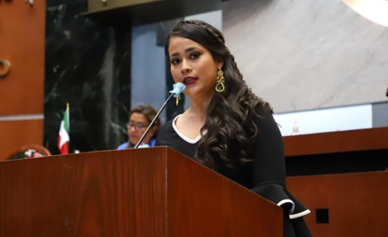 Proceso de consulta a las personas con discapacidad es un hecho histórico y sin simulaciones: Citlali Calixto