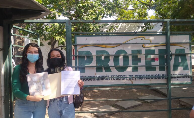 Denuncian a exdirector de Zoochilpan por venado muerto