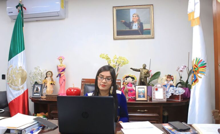 La agenda de la diputada Yoloczin