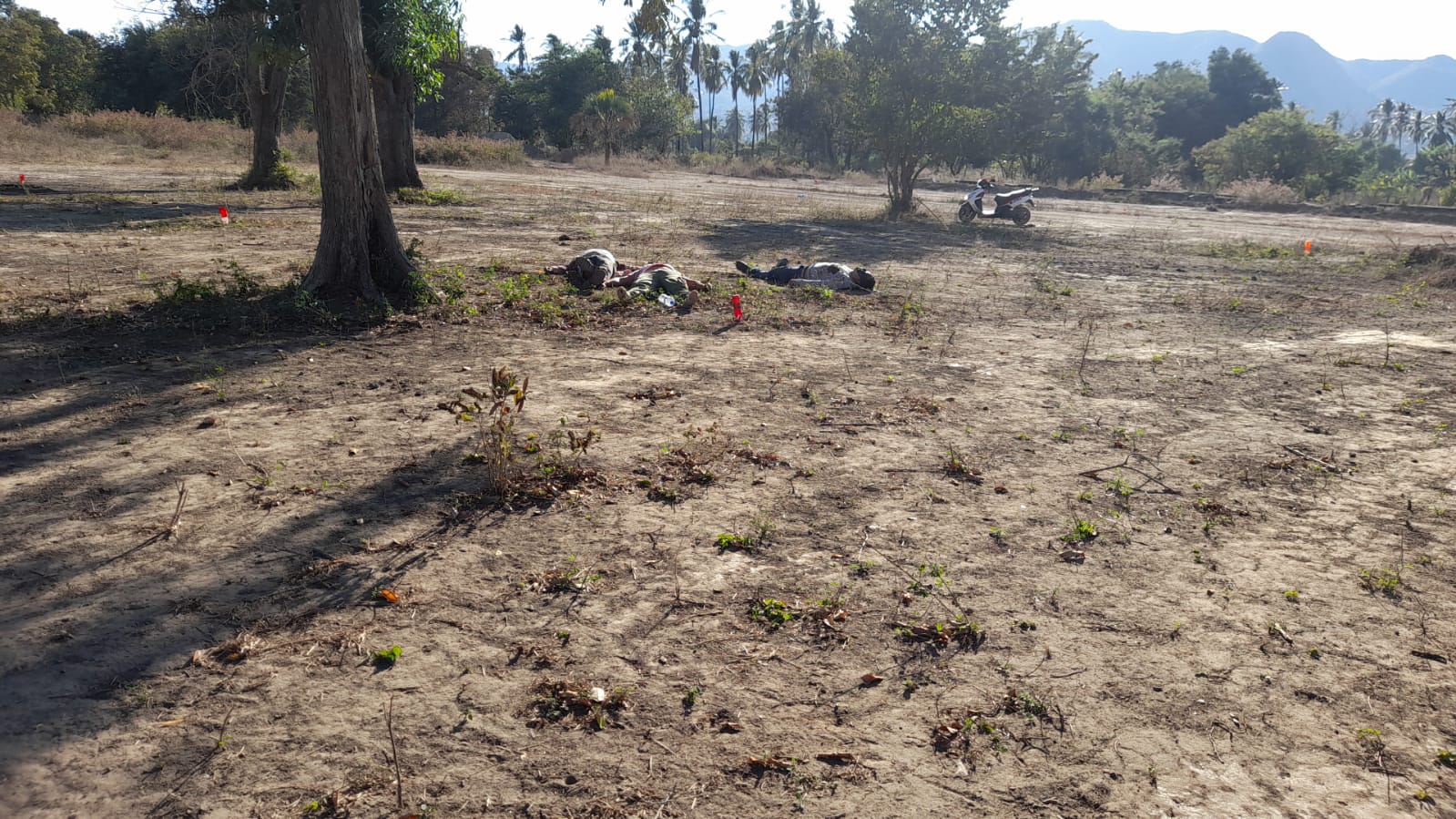 Director y fundador de los Acaboy’s entre los siete homicidios de este martes en Acapulco