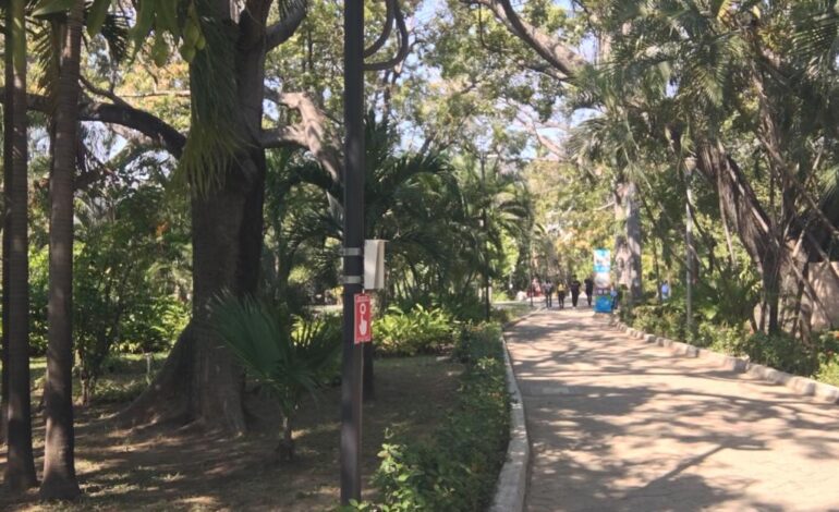 Más de 30 cámaras de vigilancia brindan seguridad a usuarios del Parque Papagayo