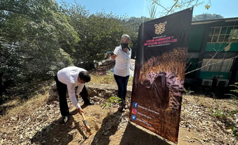 Conmemora la SEMAREN Guerrero el Día Mundial de la Educación Ambiental con plantación de árboles y foros