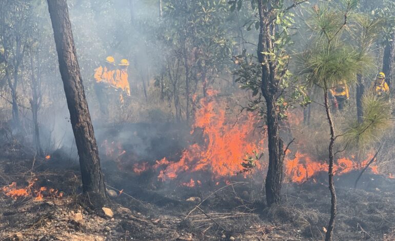Habitantes del Ejidos Los Guajes de Ayala, Tierra Caliente de Guerrero, denuncian impacto en el medio ambiente de la Sierra por incendios