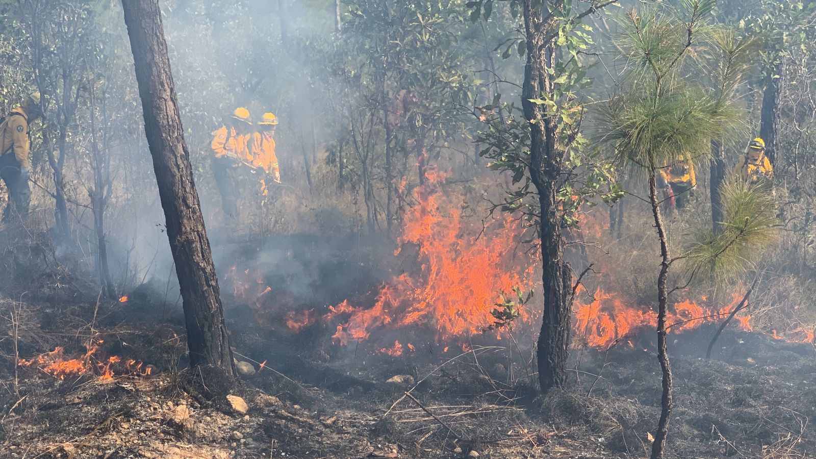 Habitantes del Ejidos Los Guajes de Ayala, Tierra Caliente de Guerrero, denuncian impacto en el medio ambiente de la Sierra por incendios