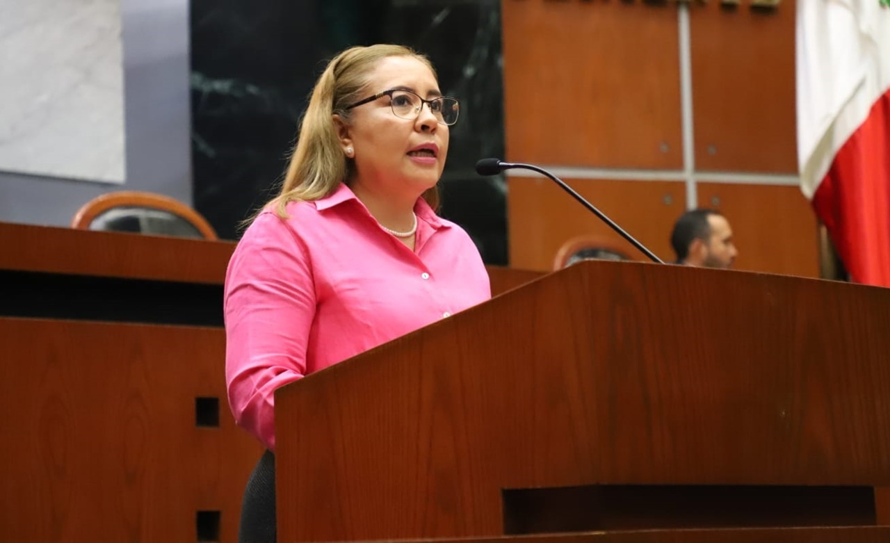 Plantean en el Congreso la creación de la Subsecretaría de Educación Indígenas
