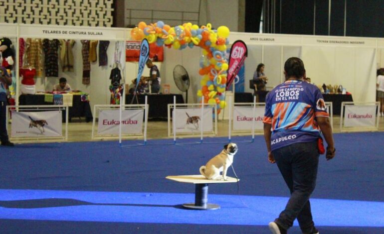 Finaliza con éxito la quinta Exposición Nacional Canina