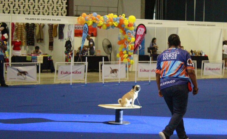 Éxito en la Exposición Canina