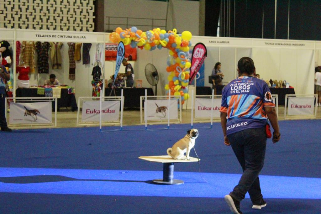 Finaliza con éxito la quinta Exposición Nacional Canina