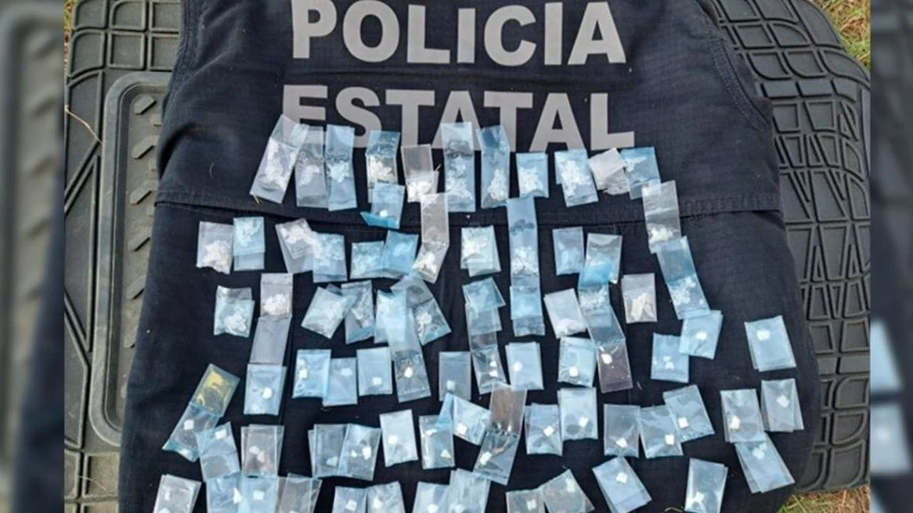 Decomisa la Policía Estatal presunta droga en el municipio de Florencio Villareal