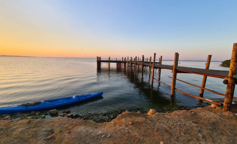 Gobierno Municipal de Acapulco verá afectación al ecosistema de la laguna de Tres Palos