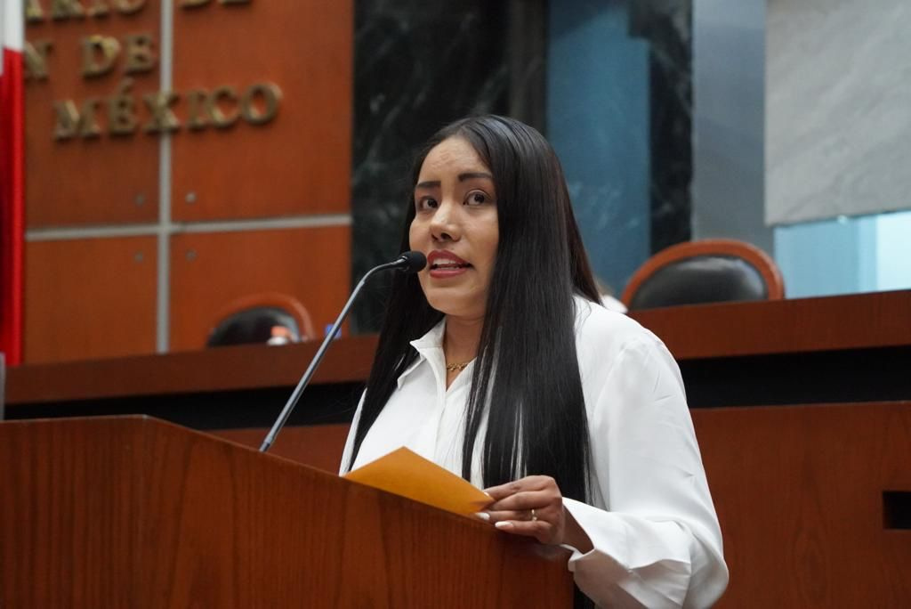Demanda Jennyfer García Lucena se revise la operación del programa Transporte Violeta