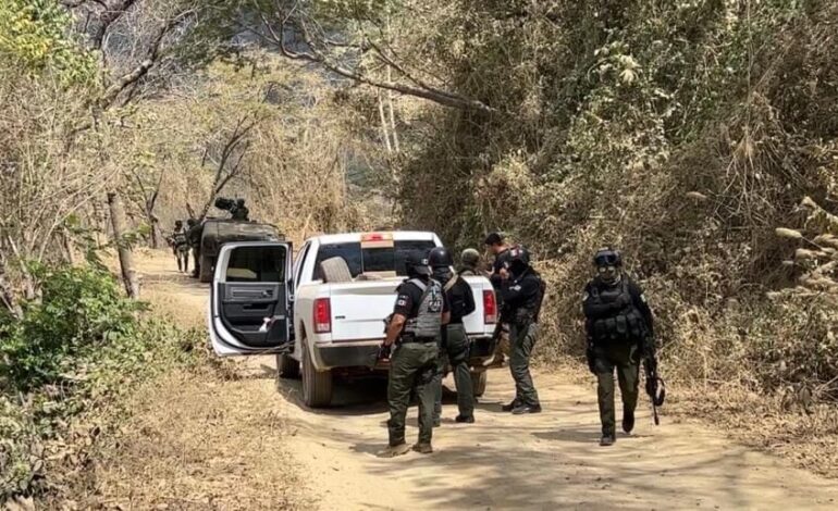 Acciondes de fuerzas armadas federales y estatales para detener a El Fresa y El Pez continuaron el sábado