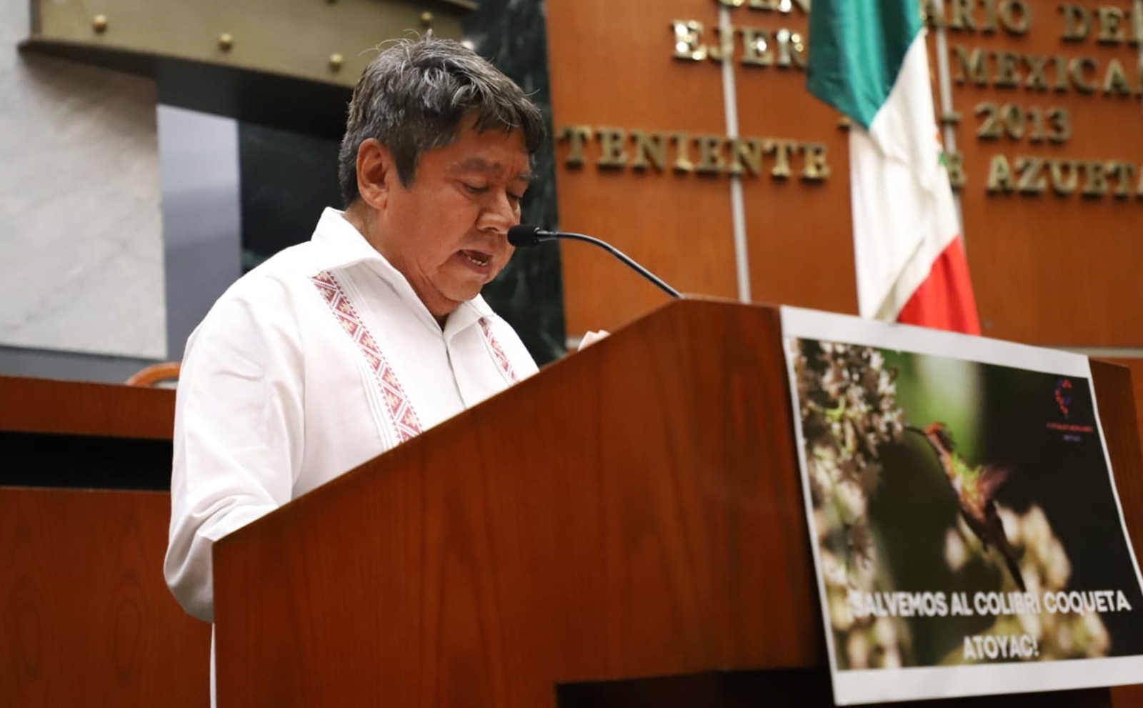 Exhorta Congreso de Guerrero al RAN agilizar la certificación de áreas para la conservación del colibrí coqueta de Atoyac de Álvarez