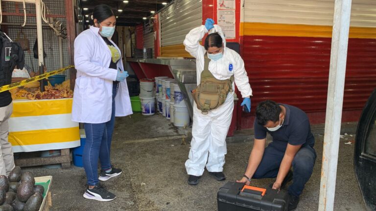 heridas empleadas en el mercado de acapulco-II