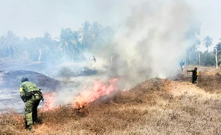 Incendio consume 45 hectáreas de pastizal, 30 vehículos de un depósito particular, chatarra y una vivienda abandonada en Acapulco