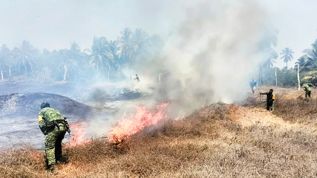 Incendio consume 45 hectáreas de pastizal, 30 vehículos de un depósito particular, chatarra y una vivienda abandonada en Acapulco