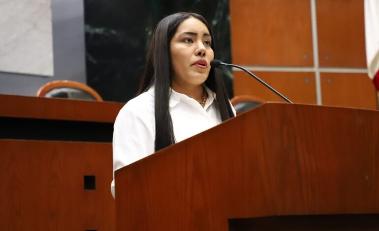 Analizan en el Congreso de Guerrero una propuesta para implementar el transporte violeta en más municipios de Guerrero