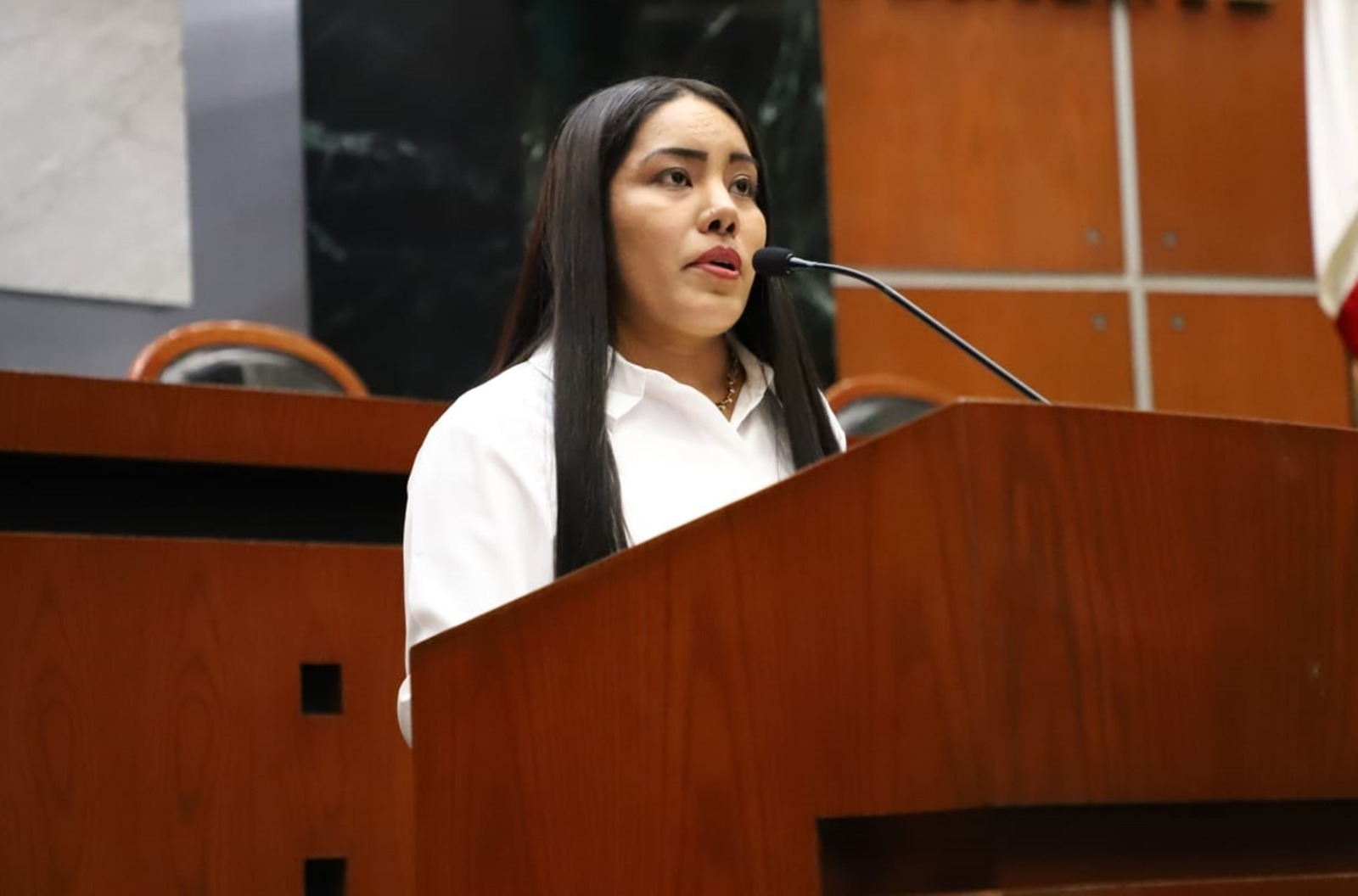Analizan en el Congreso de Guerrero una propuesta para implementar el transporte violeta en más municipios de Guerrero