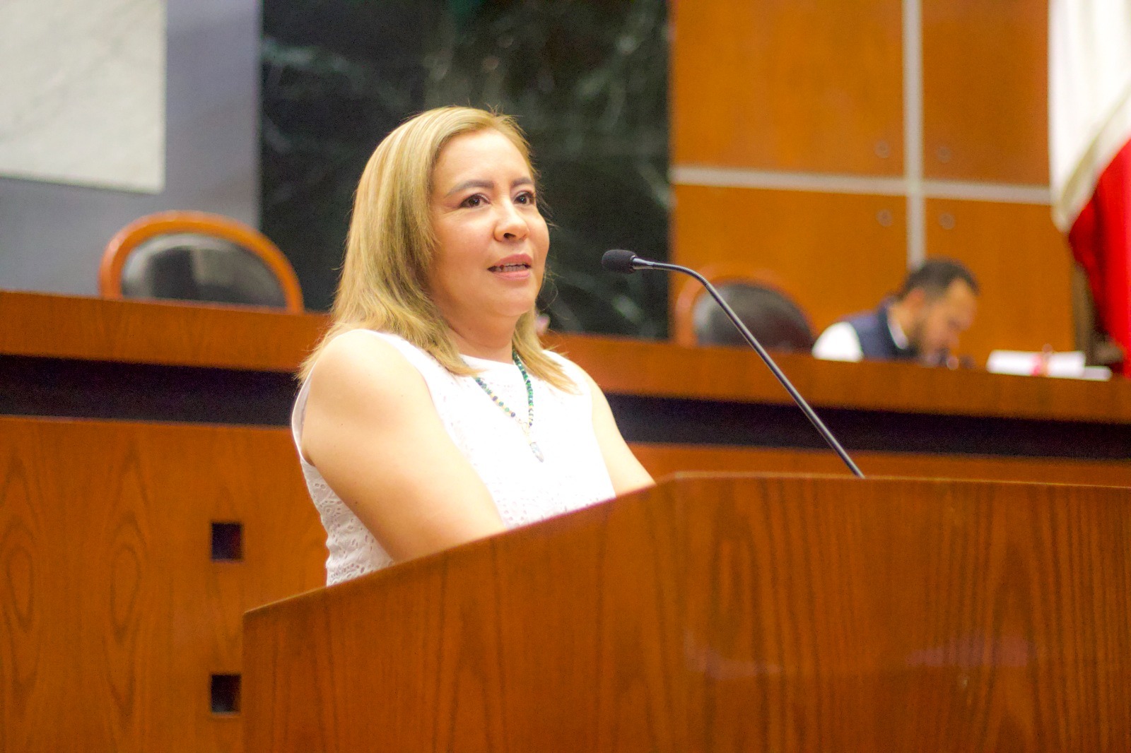 Proponen incorporar la violencia reproductiva en la ley de acceso de las mujeres a una vida libre de violencia