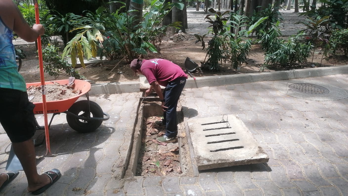 Previo a las lluvias se iniciaron los trabajos de limpieza de rejillas en el Parque Papagayo