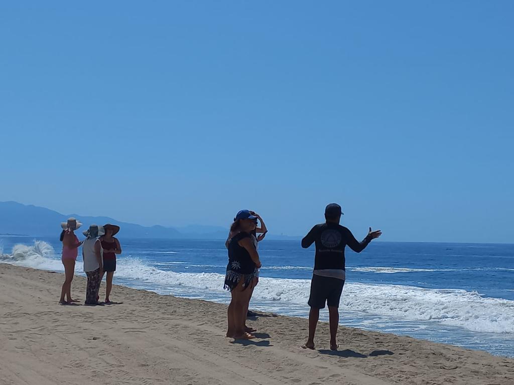 Alertan por nuevo evento de Mar de Fondo que afecta las costas de Guerrero