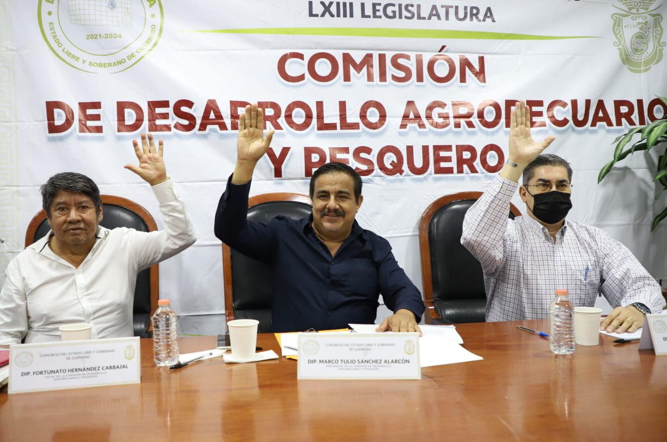 Aprueban en comisión iniciativa para el impulso de la pesca en Guerrero