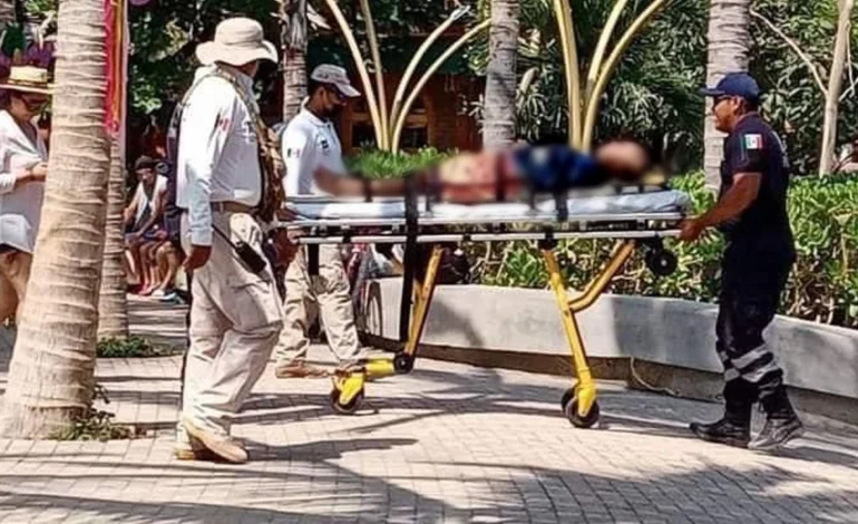 Cae niño de palmera en playa de Zihuatanejo