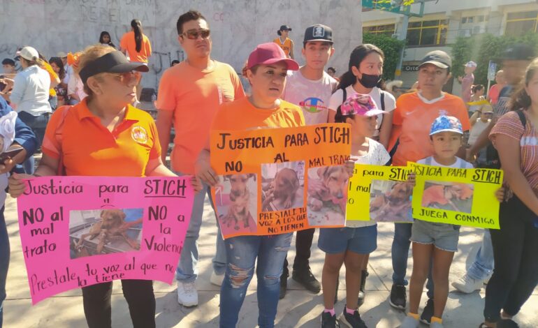 Por primera vez en Guerrero se vincula a proceso a un agresor por maltrato animal