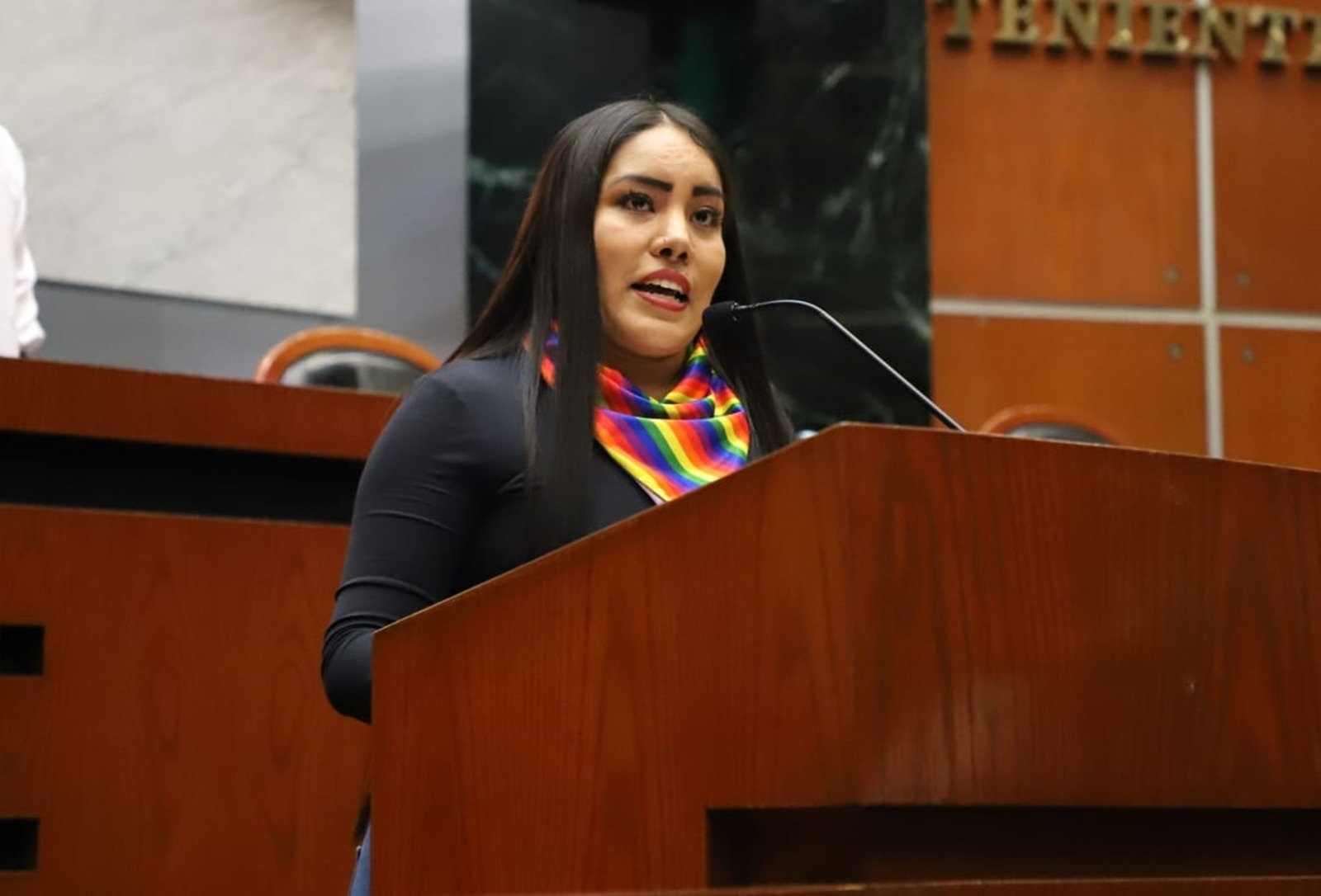 Proponen crear el parlamento incluyente de las personas de la diversidad sexual