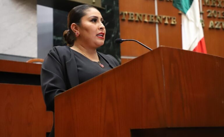 Analizan en el Congreso la habilitación de un espacio de lactancia materna