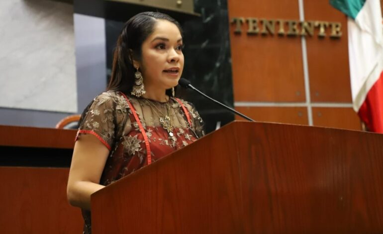 Plantean reforma para digitalizar y transparentar todos los archivos de la administración pública