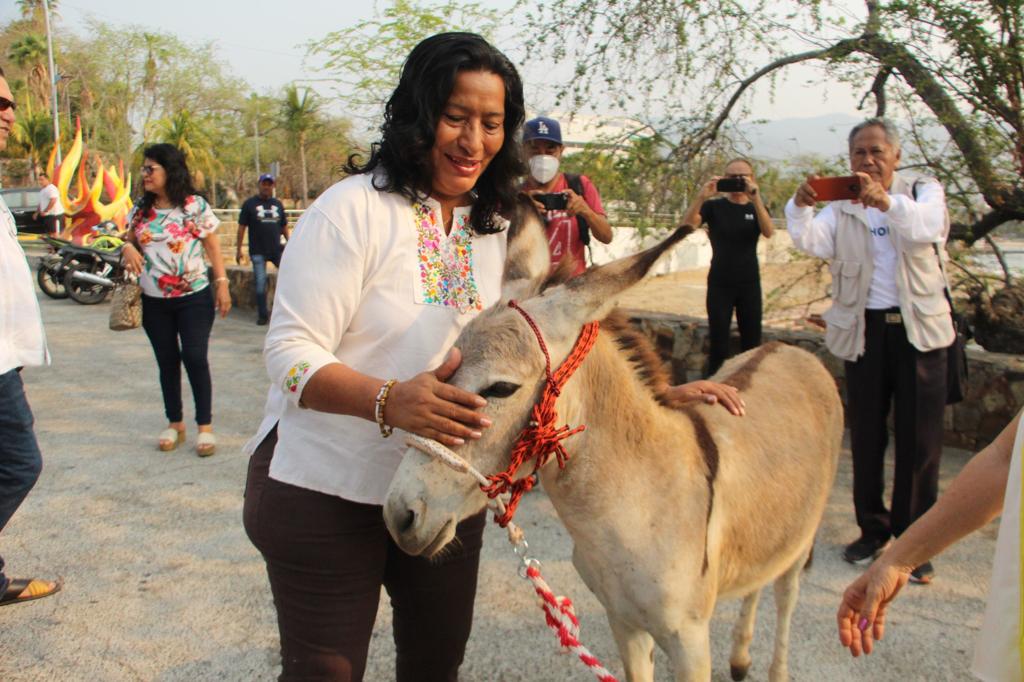 Atestigua Abelina López, traslado de burro a La Roqueta