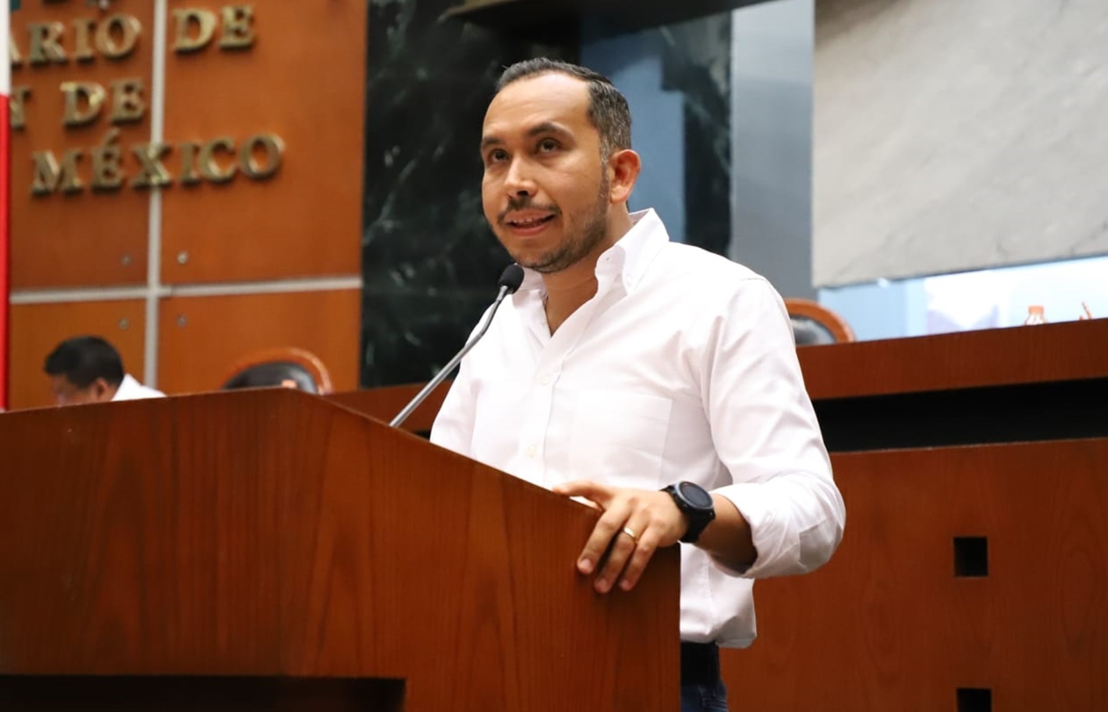 Analizan reformas a la Constitución para crear la figura de gobierno de coalición