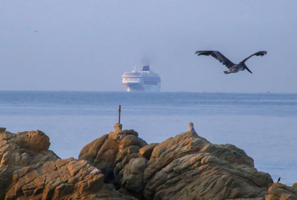 Culmina la temporada de cruceros 2022-2023 en Guerrero; llegaron 22 navíos con más de 70 mil pasajeros y tripulantes