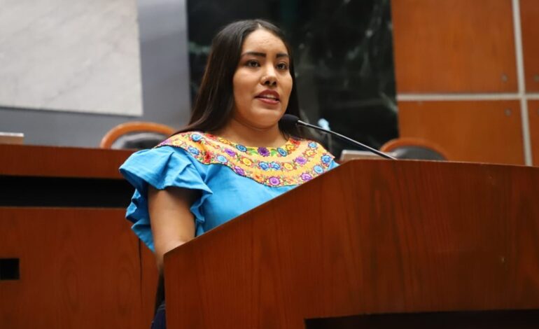 Plantean armonizar la ley electoral local con la Ley 3 de 3 y cerrar el paso a candidatos violentos