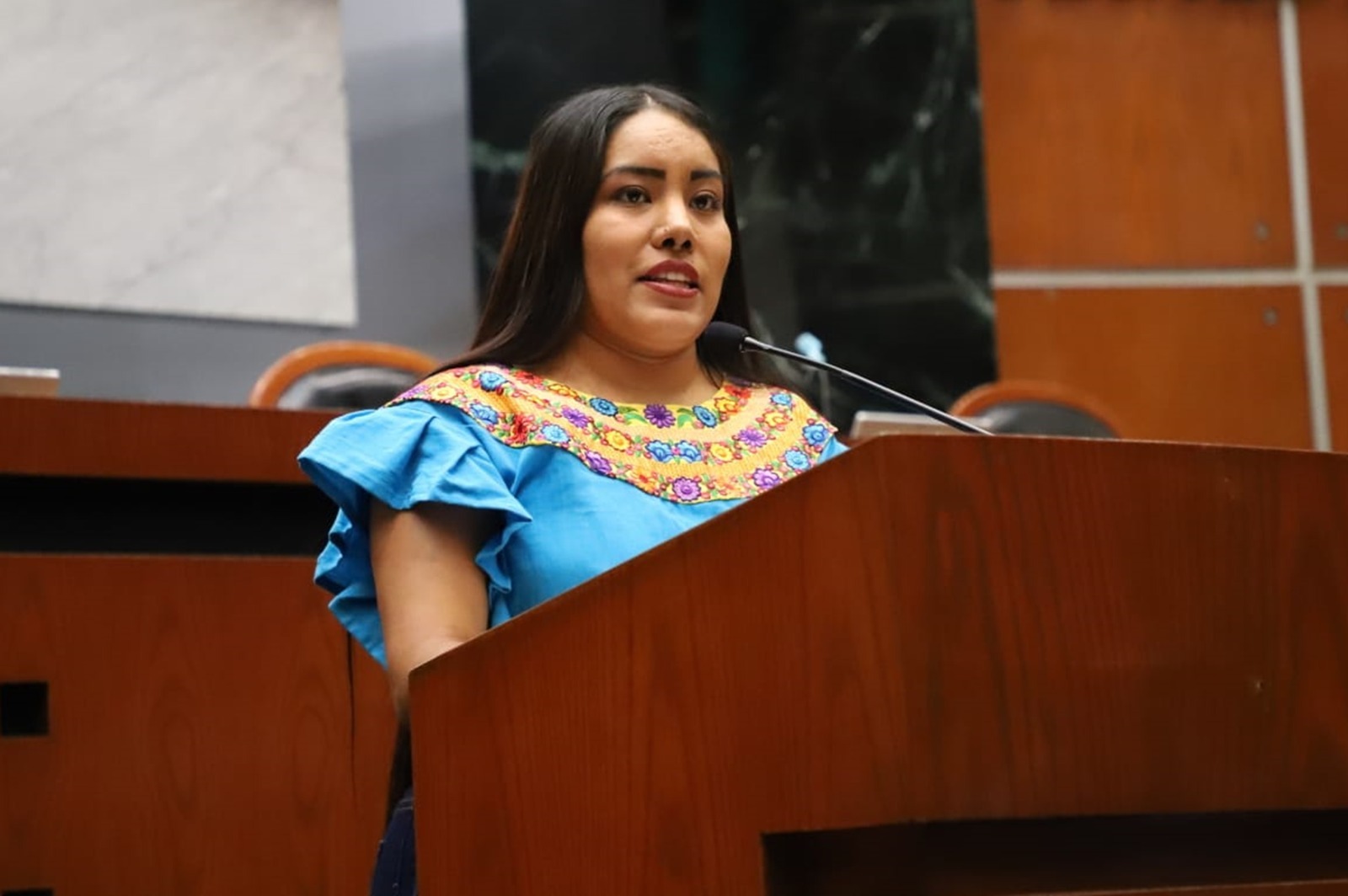 Plantean armonizar la ley electoral local con la Ley 3 de 3 y cerrar el paso a candidatos violentos