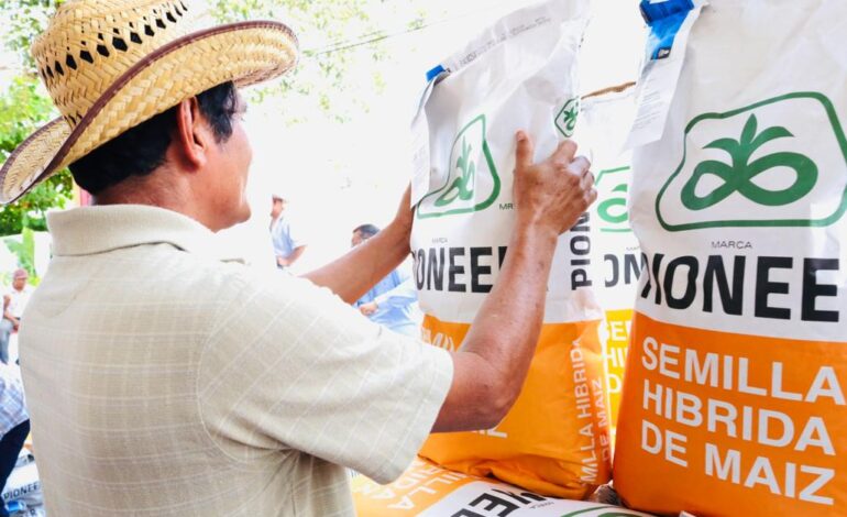 Entrega Abelina López semilla mejorada a productores y campesinos